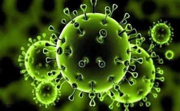 الصحة تعلن تسجيل 568 إصابة جديدة بفيروس كورونا و36 حالة وفاة