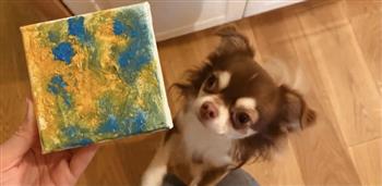 شاهد كلب «شيواوا» يقلد لوحات فان جوخ 