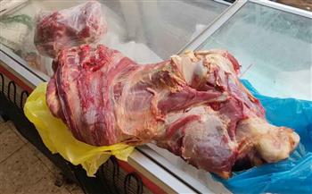 الصحة: ضبط وإعدام 1462 طن أغذية متنوعة ولحوم فاسدة بـ 6 محافظات