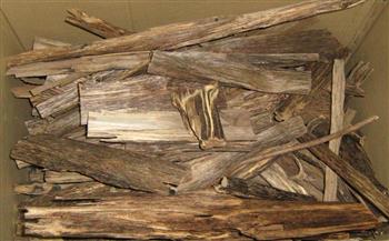 «كيارا».. معلومات عن أندر وأغلى أنواع الأخشاب في العالم