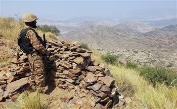القوات الباكستانية تقتل 10 مسلحين شمال غرب البلاد