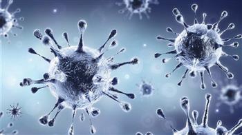 هوبكنز الأمريكية: ارتفاع إجمالي إصابات فيروس كورونا حول العالم إلى 218 مليونا و977 ألفا و174 حالة