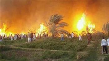 حريق هائل في مزرعة على طريق «مصر - الإسكندرية» الصحراوي