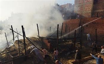 حريق هائل في 5 حظائر ماشية بالمنوفية 
