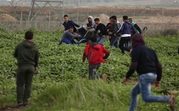 إصابة مزارع برصاص الاحتلال الإسرائيلي شرق غزة