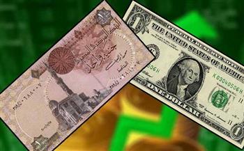 خبير أوراق مالية: 4 أسباب وراء استقرار أسعار الدولار أما الجنيه