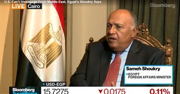 سامح شكرى لـ«بلومبرج»: عندما تشعر مصر بالرضا ستفتح الباب لتحقيق التقدم مع تركيا (فيديو)