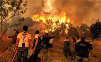 الحبس المؤقت لـ30 شخصًا في الجزائر على خلفية حرائق الغابات