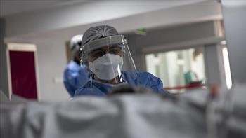 البرازيل تسجل 250 وفاة بسبب كوفيد-19