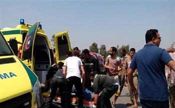 إصابة شخصين في حادث انقلاب سيارة نقل بالوادي الجديد