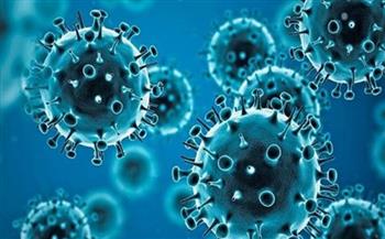 البرازيل تسجل 24 ألفا و382 إصابة و44 وفاة جديدة بفيروس كورونا 