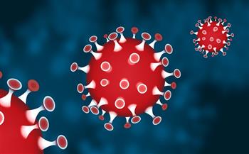 الإمارات تسجل 2562 إصابة جديدة بفيروس كورونا 