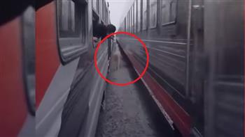 العناية الإلهية تنقذ حصانًا من موت محقق بعد حصاره بين قطارين متقابلين (فيديو)