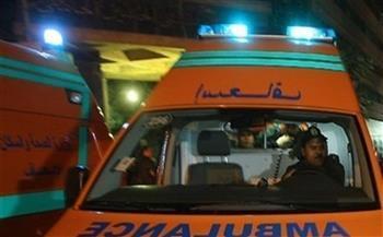 إصابة 10 أشخاص في انقلاب سيارة ميكروباص ونقلهم لمستشفى الفيوم العام