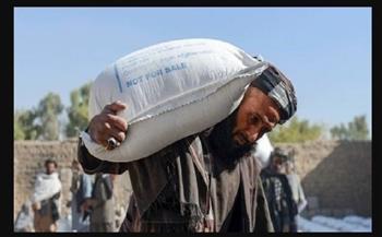 طالبان تدفع أجور الموظفين "قمحاً" مع تفاقم الأزمة الاقتصادية