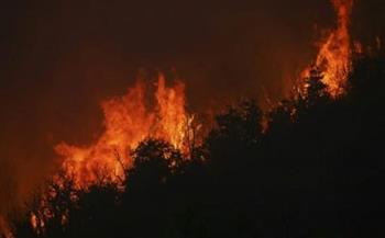 حرائق الغابات تتواصل بجنوب الأرجنتين وأحدها مستمر منذ شهر