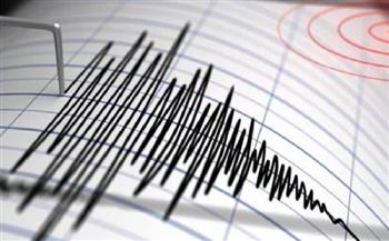 زلزال بقوة 4.6 درجات يضرب سواحل تشيلي