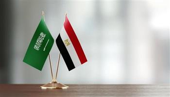 نائب وزير الخارجية السعودي يبحث مع السفير المصري تعزيز العلاقات الثنائية