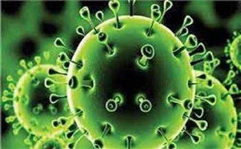 سلطنة عمان تسجل 1315 إصابة جديدة بفيروس كورونا