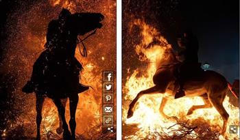 لسبب غريب.. مائة حصان تقفز عبر النيران في حفل «التطهير» الإسباني..فيديو