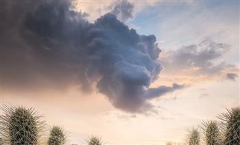 تشبه التنين .. صورة مذهلة لسحابة العاصفة في ولاية أريزونا