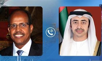 وزير الخارجية الجيبوتي يؤكد تضامن بلاده مع الإمارات عقب الهجوم الحوثي
