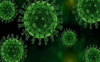 التشيك تسجل 1088 إصابة جديدة بفيروس كورونا 