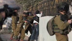 الاحتلال الاسرائيلي يستهدف رعاة الأغنام شرق خان يونس