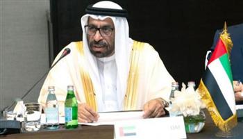 وزير الدولة الإماراتي:استهداف الحوثيين لدول الخليج تهديد للأمن القومي العربي
