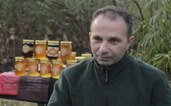 خبير يقترح وقف تصدير النحل المصري والشراكة مع الدولة للنهوض بإنتاج العسل