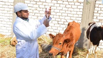 محافظ الغربية يتابع تحصين رؤوس الماشية ضد «لجلد العقدي والجدري»