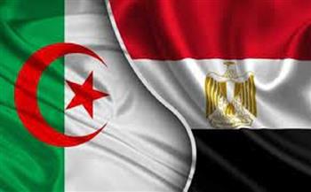 مكافحة الإرهاب ودعم ليبيا.. أبرز اهتمامات العلاقات السياسية المصرية الجزائرية