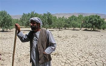 الفاو تقدم مساعدات زراعية لمزارعي أفغانستان