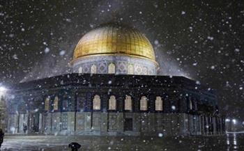 مشهد بديع من صنع الخالق.. الثلوج تغطّي باحات المسجد الأقصى (فيديو)
