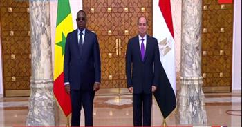 إسكات البنادق.. توقيت جوهري لزيارة رئيس السنغال إلى مصر