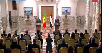 الرئيس: مصر مستعدة لدعم أفريقيا في حربها على الإرهاب