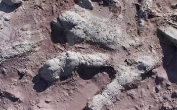 اكتشاف آثار أقدام ديناصور عمرها يزيد عن 200 مليون سنة