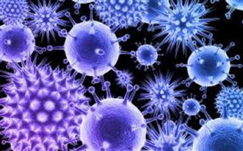 كوريا الجنوبية تسجل 17532 إصابة جديدة بفيروس كورونا 