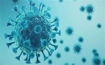 ليبيا تسجل 4429 إصابة جديدة بفيروس كورونا 
