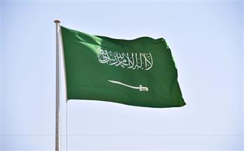 السعودية وجنوب أفريقيا تبحثان سبل تطوير العلاقات الثنائية 