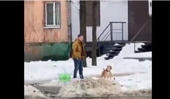كلب يهاجم رجلا ويطرحه أرضا.. وصاحبه مبررا: «بيحب يلعب».. فيديو