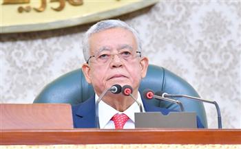 «النواب» يوافق مبدئيا على مشروع قانون بدمج صندوق تحسين الأقطان المصرية