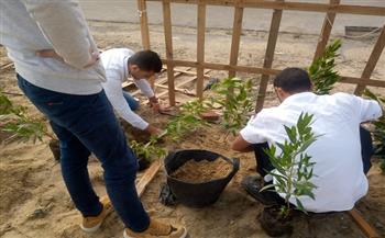 زراعة ٤٠٠ شجرة بمركز التدريب الكشفي والارشادي الدائم بجامعة كفرالشيخ