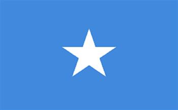 مقتل خمسة عناصر من مليشيات الشباب الإرهابية فى الصومال 