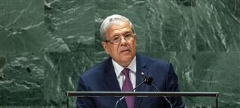 الجرندي: تونس كثّفت مساعيها الدبلوماسية في مجلس الأمن للدفاع عن حقوق الفلسطينيين