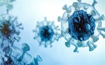جورجيا تسجل 3842 إصابة جديدة بفيروس كورونا 