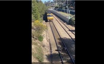 رجل يجازف بحياته أمام عجلات القطار لإنقاذ «كلب».. فيديو