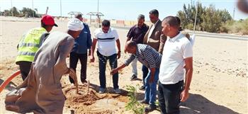 حامد: بدء إطلاق مبادرة "شجرة لكل مبنى" بمدينة رأس غارب