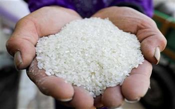 "تموين دمياط": توريد 8 آلاف طن أرز وحصاد 15 ألف فدان