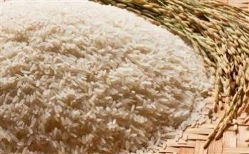 محافظ الدقهلية: توريد أكثر من 25 ألف طن من الأرز الشعير لـ 31 موقعا